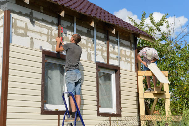 Best Custom Siding Design  in Forrest, IL